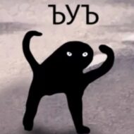 XUX